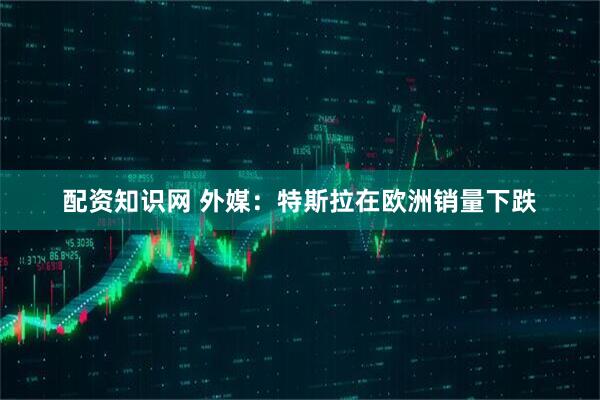配資知識網 外媒：特斯拉在歐洲銷量下跌